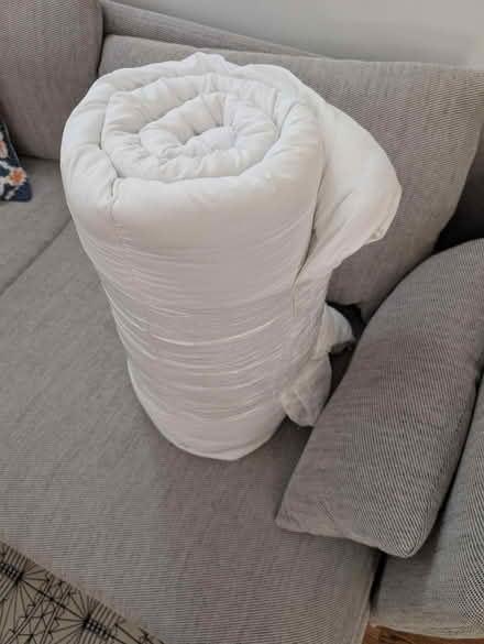 Photo of free Queen duvet insert (Takoma Park/Silver Spring) #1