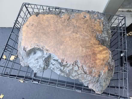 Photo of free Redwood burl slab (near Occidental X Furlong) #1