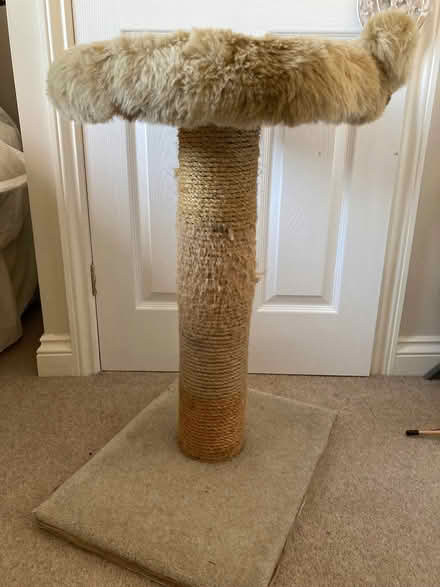 Photo of free Cat scratch posts/ pedestal beds (High Shincliffe DH1) #2
