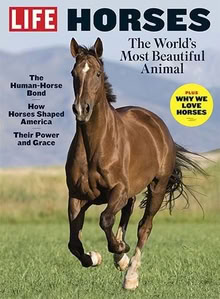 Photo of Life Horses Magazine (Park ave.) #1