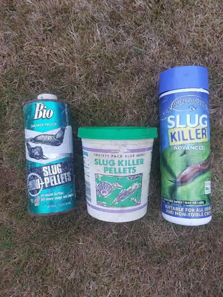 Photo of free Slug pellets (Eskbank EH22) #1