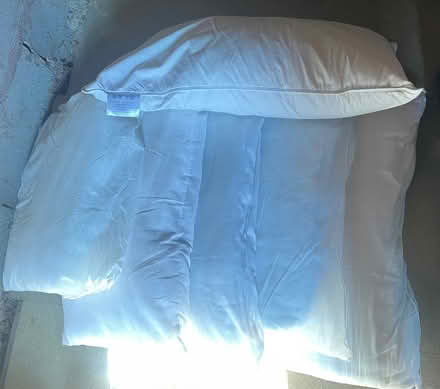 Photo of free 5 pillows & cushion insert (Bidston CH43) #1