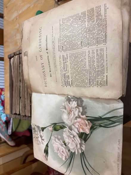 Photo of free Dictionary of Gardening (Ball Hill CV2) #2