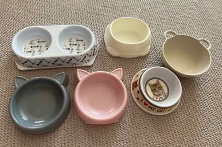 Photo of free Plastic Cat Food Bowls (Twyford RG10 9) #1