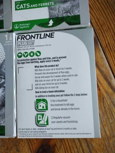 Photo of free Flea treatment for cats (Crosspool S10) #2