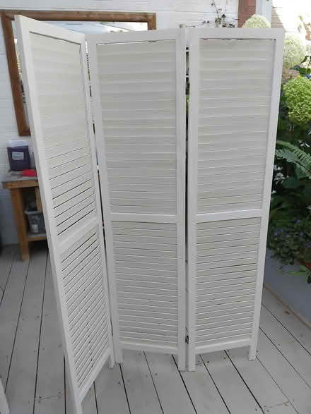 Photo of free Free-standing screens (Bradpole DT6) #1