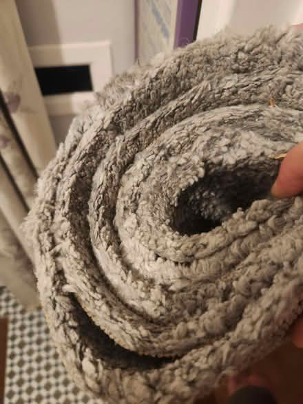 Photo of free Grey Rug (St Albans) #2