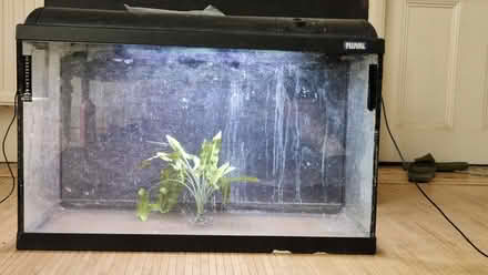 Photo of free Aquarium with hood plus job lot of aquarium equipment (Wallingford OX10) #1