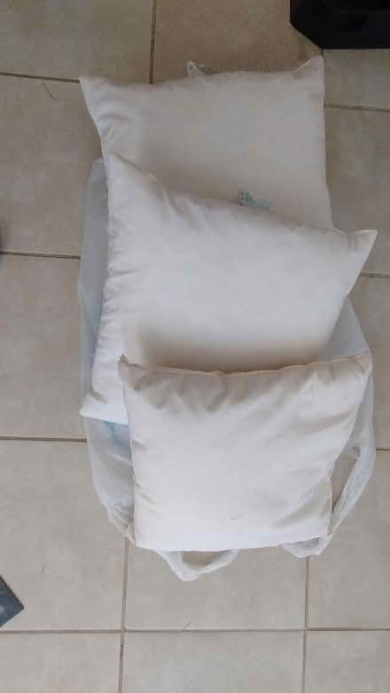 Photo of free Feather cushions (Wilstead MK45) #1