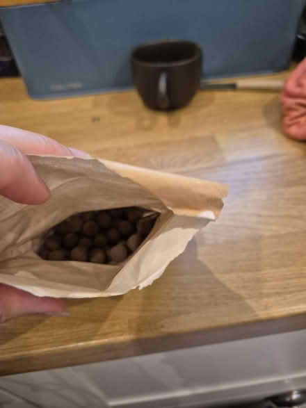 Photo of free Seedballs (SK3 cheadle heath) #2