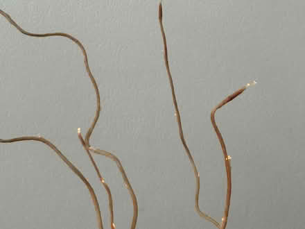 Photo of free Fibre optic decorative ‘tree’ (Trowell NG9) #2