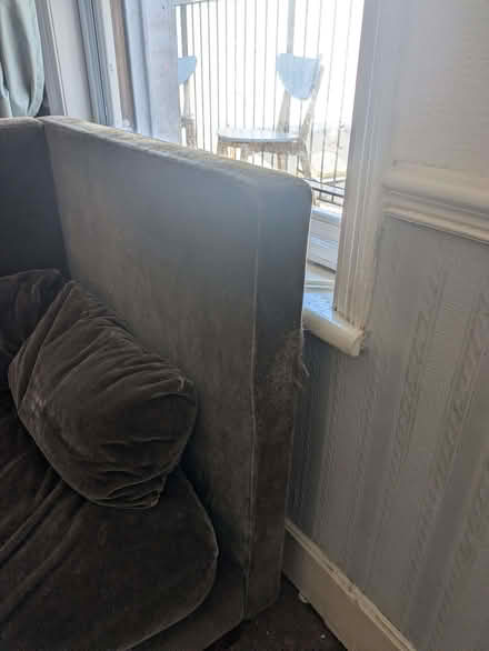 Photo of free Velvet sofa (Worthing BN11) #3