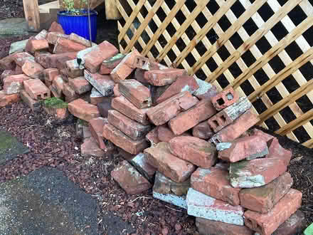Photo of free Bricks (Mercer Island ~ East side) #2