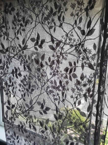 Photo of free Grey lace effect voile curtains (Marsh LA1) #2