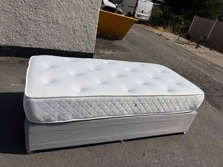 Photo of free Single Bed (Woodlands DN6) #3