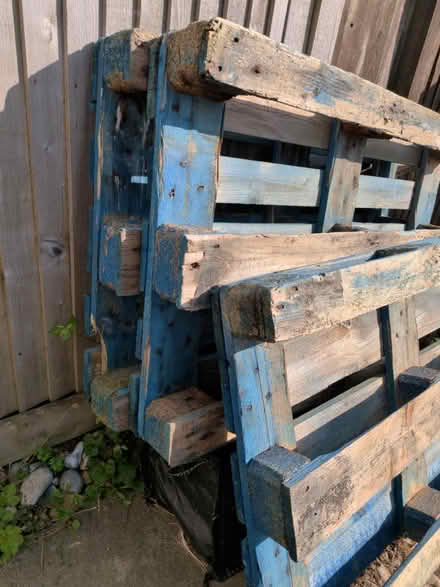 Photo of free Three blue pallets (Little ridge, St Leonards TN37) #2