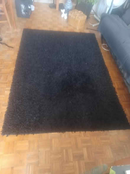 Photo of free Carpets (2), Mats (2) (Parliament & Wellesley Streets) #1