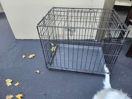 Photo of free Wire pet crate (near Occidental X Furlong) #1
