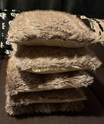 Photo of free Surplus cushions (Wyre Forest DY10) #2