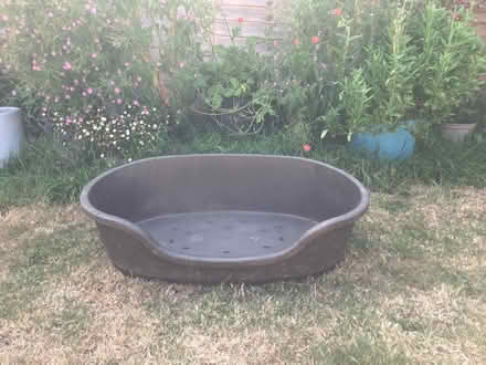 Photo of free Plastic Medium Dog Bed (Harvey Close BS22) #1