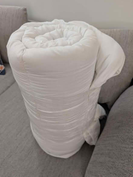 Photo of free Queen duvet insert (Takoma Park/Silver Spring) #2