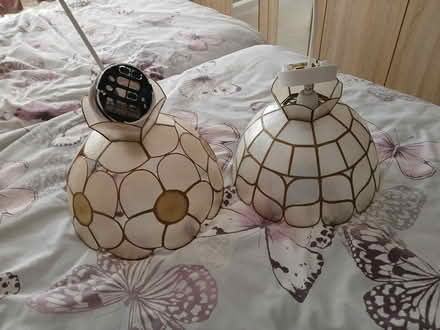Photo of free Light shades and fittings (LU1. Caddington) #1
