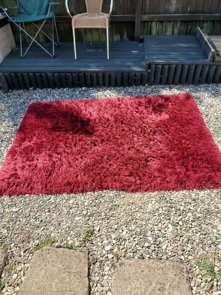 Photo of free Three carpets from Dunelm (Bisley Road GL5) #2