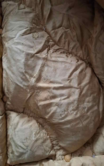 Photo of free Duvet, gold and red (South Acton) #3