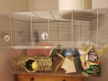 Photo of free Hamster cage (Woodside CR0) #3