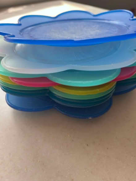Photo of free ‘Vintage’ Ikea flower plates (Goring by Sea BN12) #2