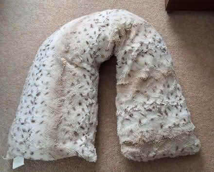 Photo of free Fluffy u-shaped cushion (South Acton) #1