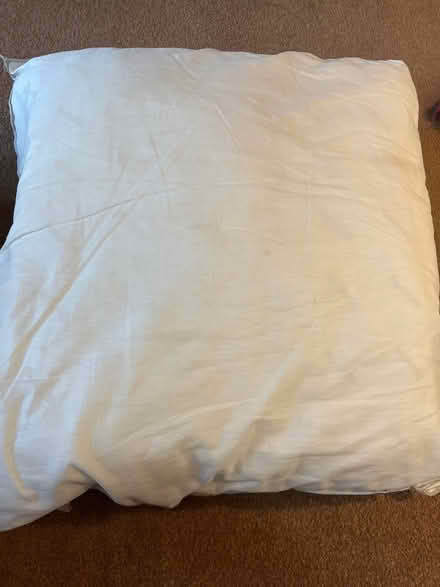 Photo of free Cushions (PE19 (Offord)) #2