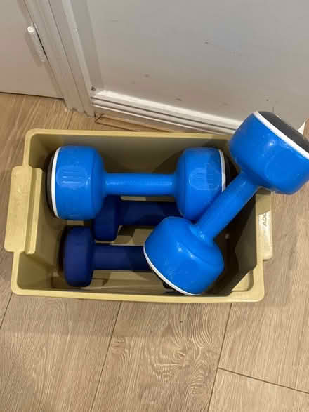 Photo of free 5kg & 4kg dumbbell (North Town SL6) #1