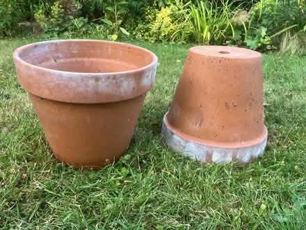 Photo of free 2 big terracotta flower pots (Desford, Leicester LE9) #1