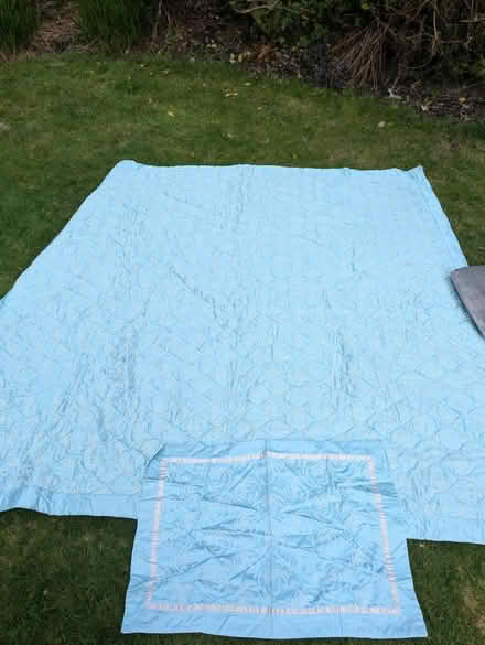 Photo of free Blanket for pet (G61 Bearsden) #1