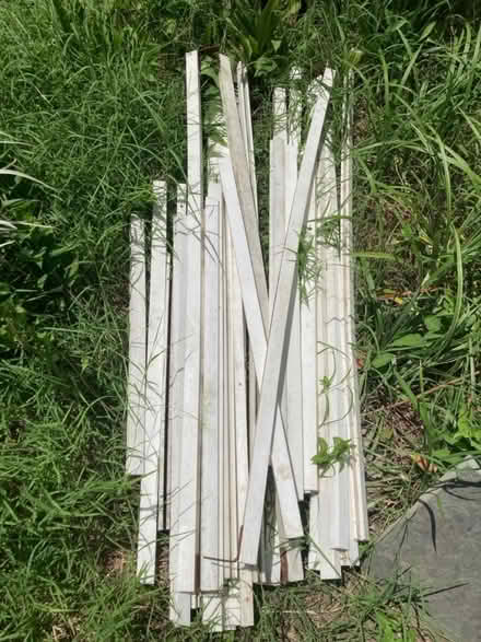 Photo of free Plastic trellis w/mounting frames (Petworth/ Park View) #3
