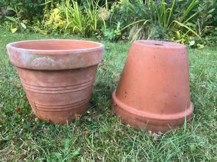 Photo of free 2 Terracotta pots (Desford, Leicester LE9) #1