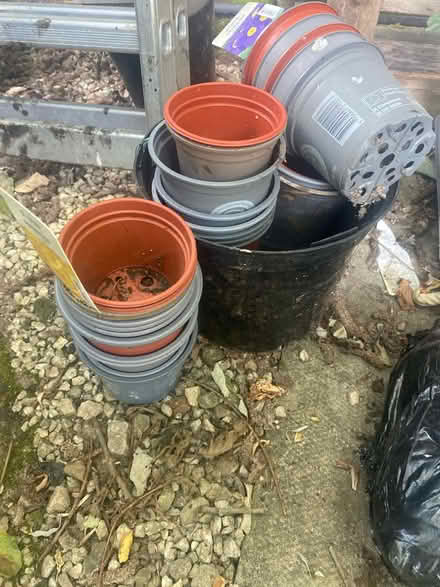 Photo of free Selection of plant pots (Forest green) #1
