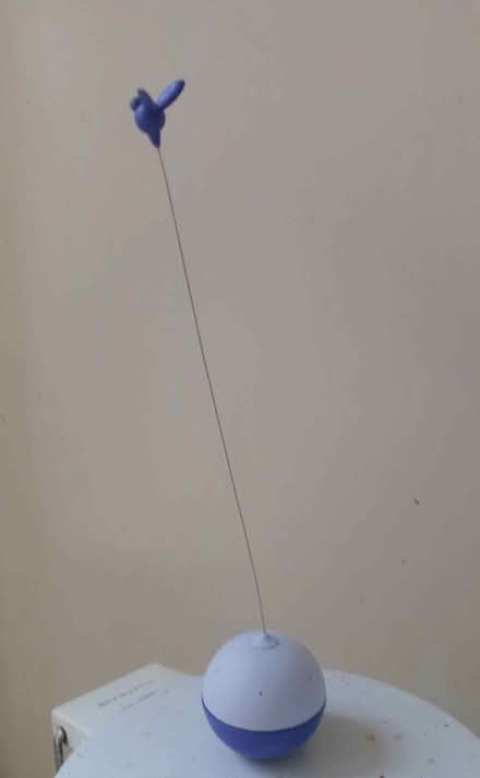 Photo of free Cat toy (Jericho OX2) #1