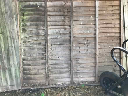 Photo of free Weathered sturdy fence panels x 4 (Bewdley DY13) #3