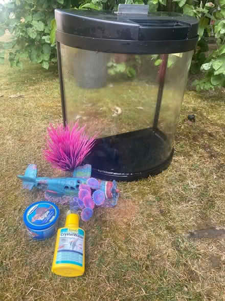 Photo of free Small fish tank (Forest green) #1