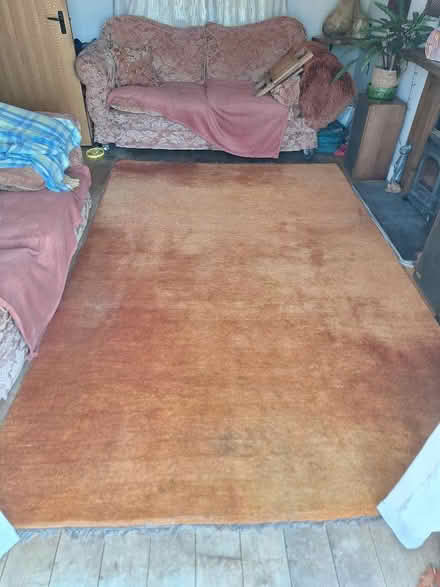 Photo of free 3m x 2m thick orange wool carpet (Chalford Hill GL6) #1