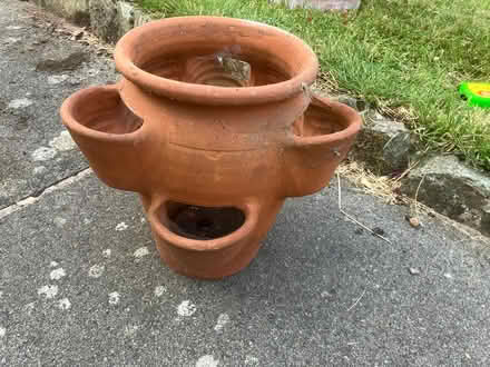 Photo of free Terracotta strawberry pot (Desford, Leicester LE9) #1