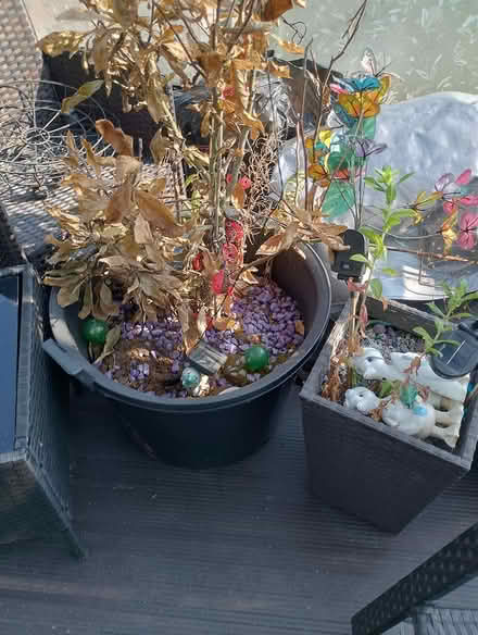 Photo of free Massive planters (Eastbourne BN22) #1