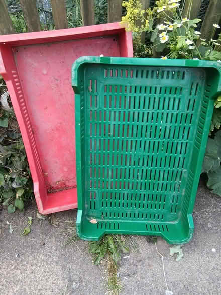 Photo of free Plastic trays (Baildon BD17) #1