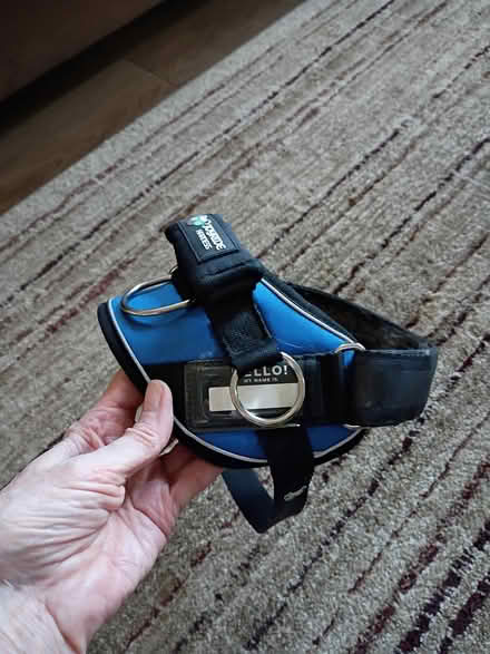 Photo of free Joyride dog harness - small (Erie) #4