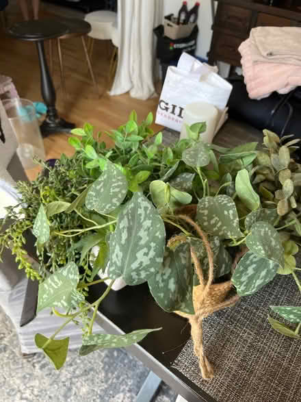 Photo of free faux plants (Cliffside Park, NJ) #1