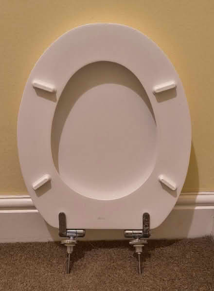 Photo of free Toilet seat (Manor Park E12) #1