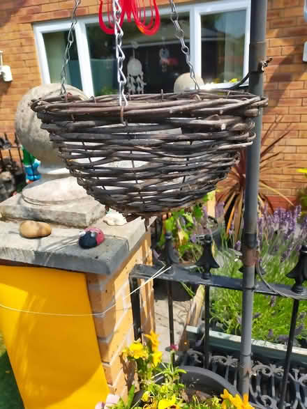 Photo of free Hanging baskets (Oswestry SY11) #2