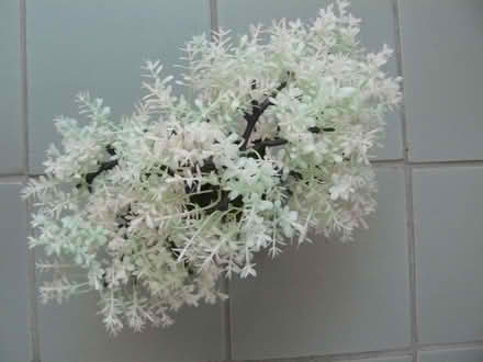 Photo of free Small plastic bonsai tree 6" tall. Faded (Kempsey WR5) #2